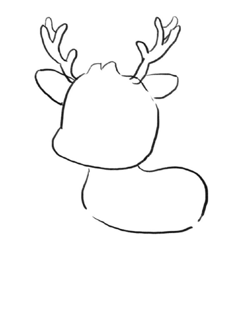 How to draw Deer step by step 5