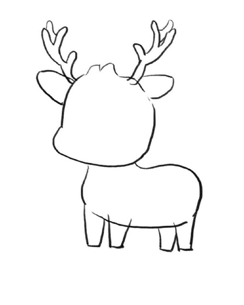 How to draw Deer step by step 6