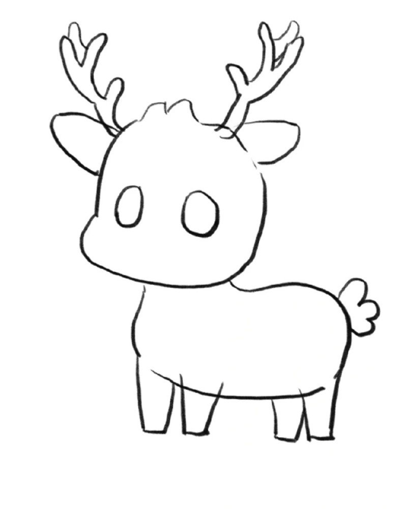 How to draw Deer step by step 8