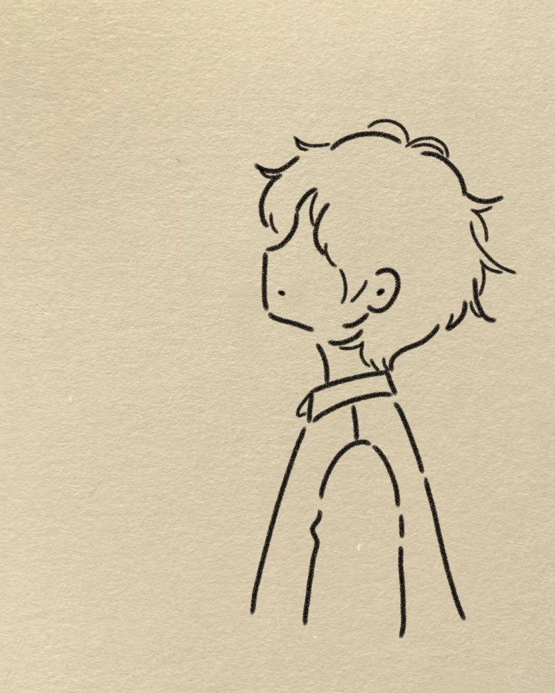 How to draw dove bird 5