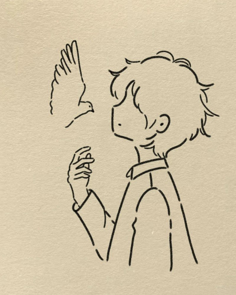 How to draw dove bird 8