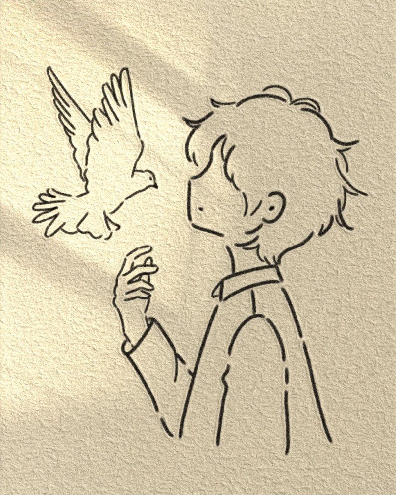 How to draw dove bird