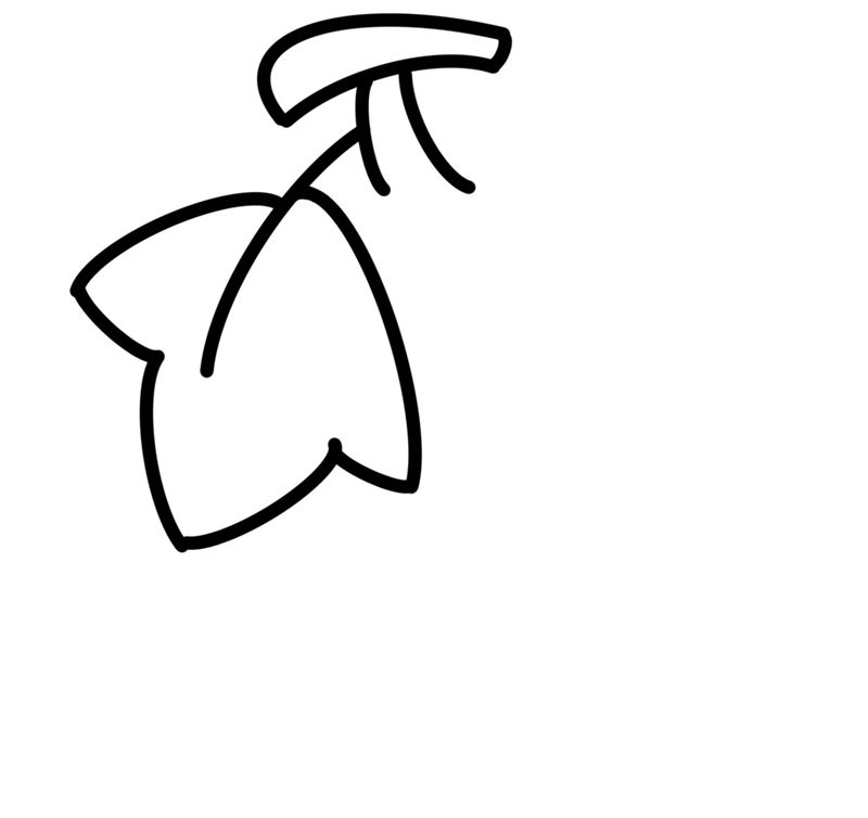 How to draw easy grapes 2