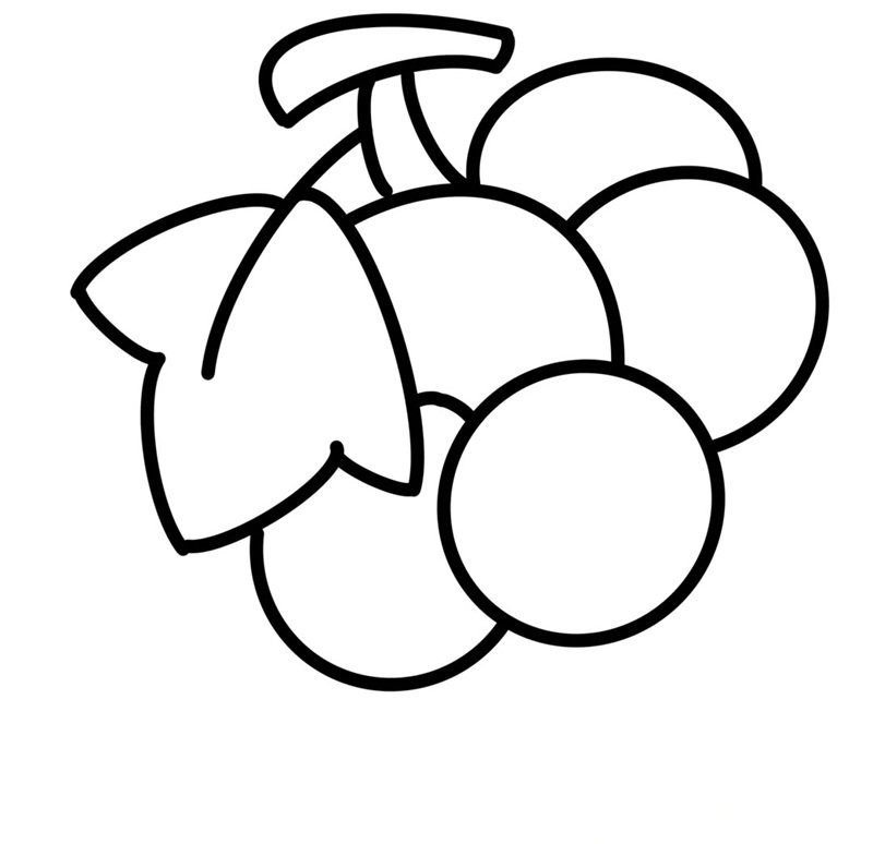 How to draw easy grapes 3