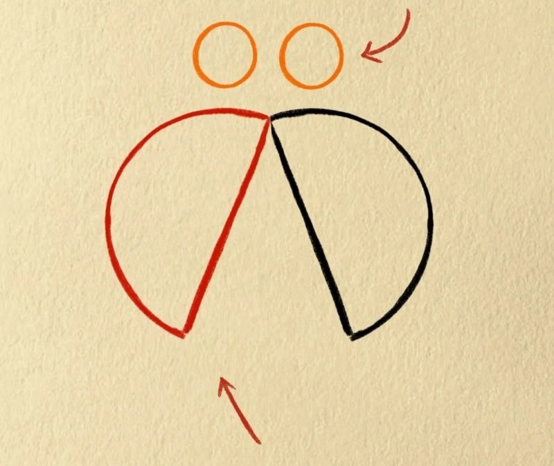 How to draw easy lady bird 2