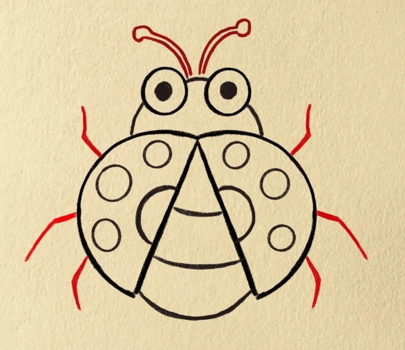 How to draw easy lady bird 5