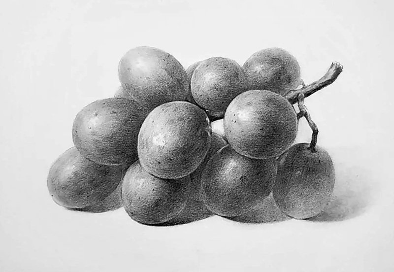 How to draw grapes beautiful
