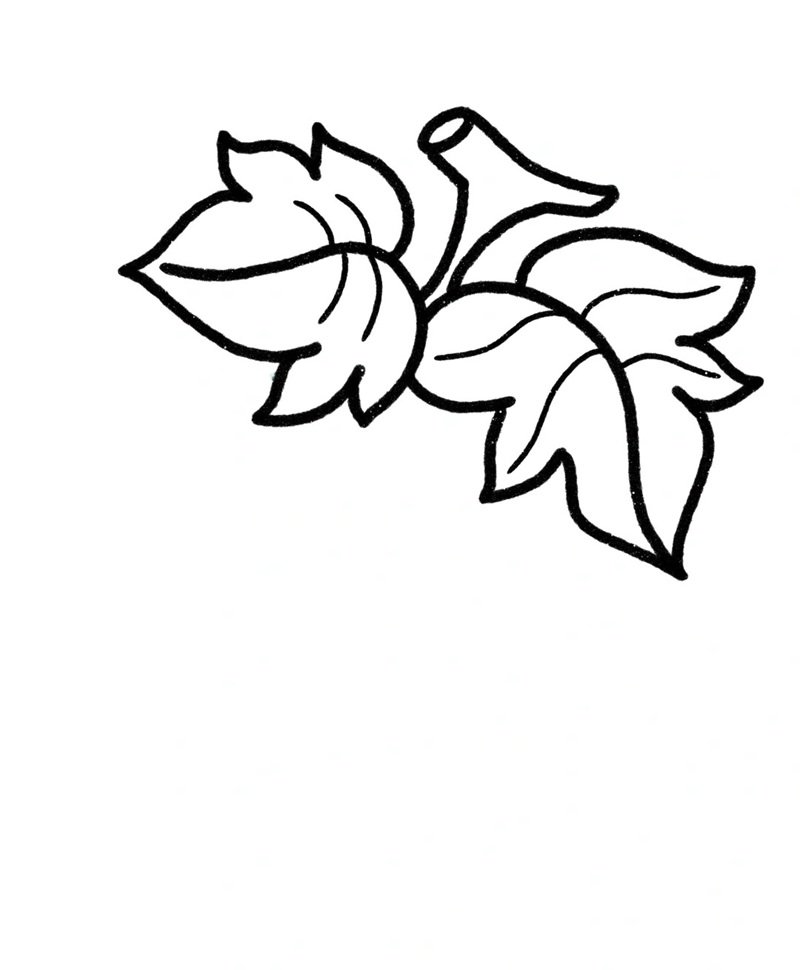 How to draw grapes easy 1