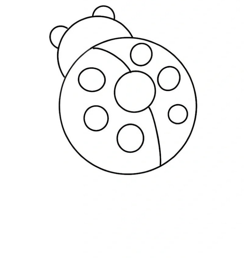 How to draw lady bird 5