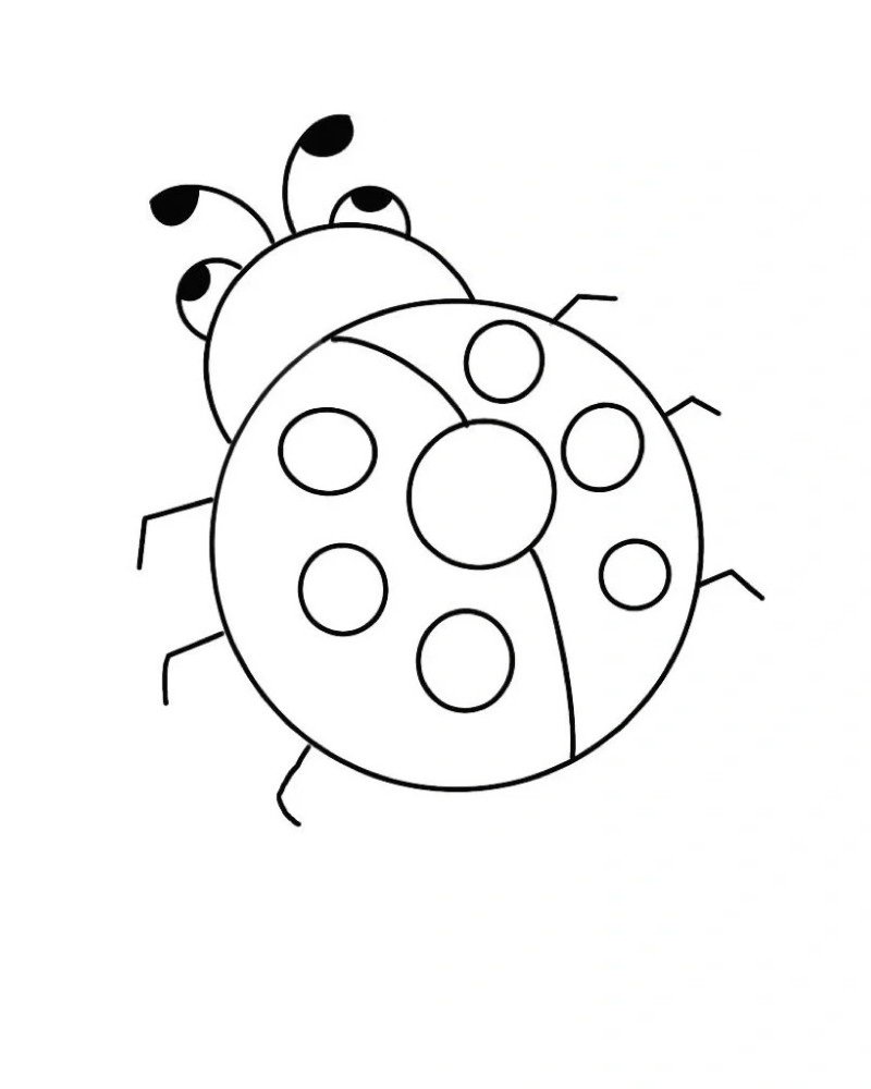 How to draw lady bird 6
