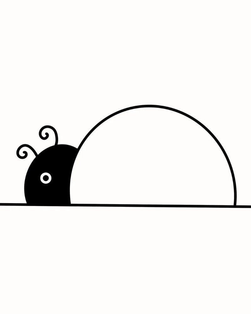 How to draw lady bird beautiful 2