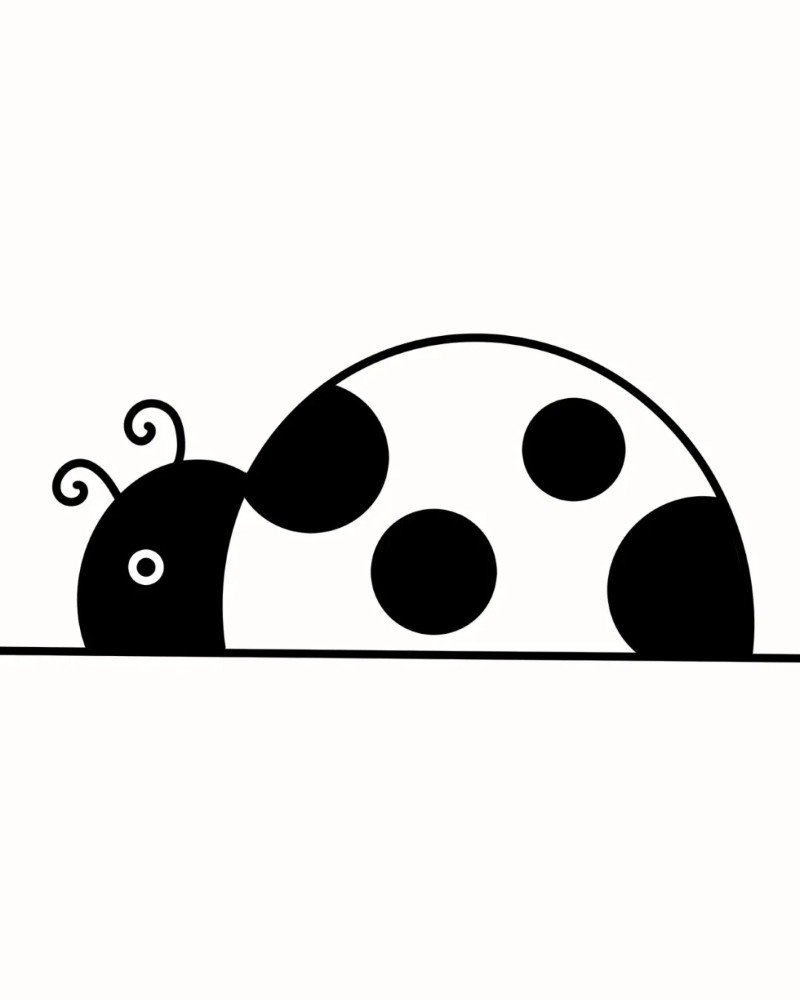 How to draw lady bird beautiful 3