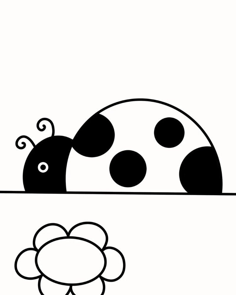 How to draw lady bird beautiful 4