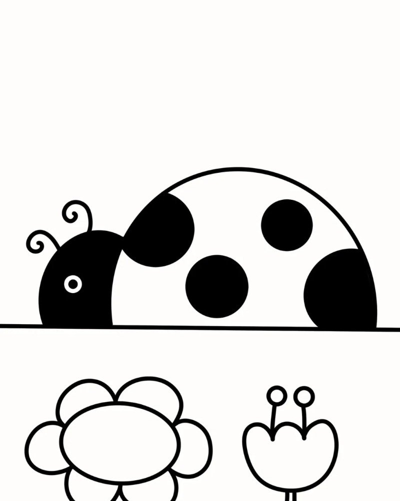 How to draw lady bird beautiful 5