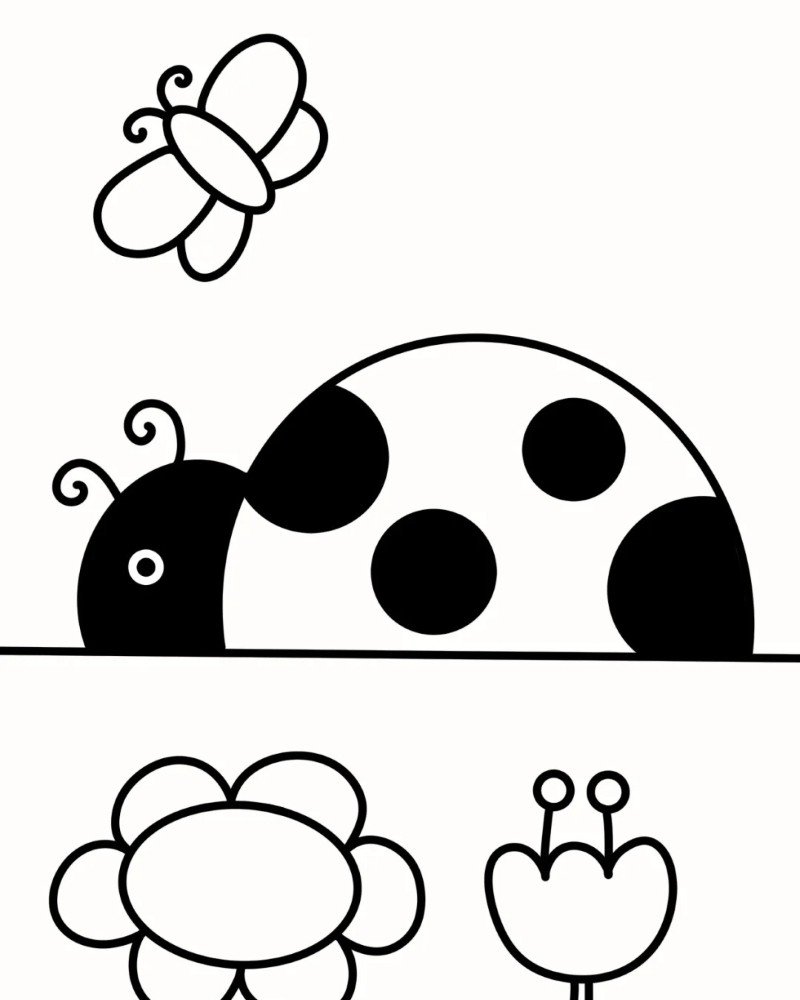 How to draw lady bird beautiful 6