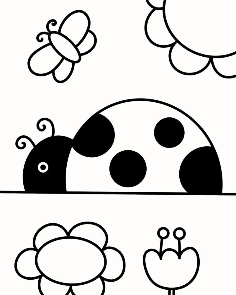 How to draw lady bird beautiful 7
