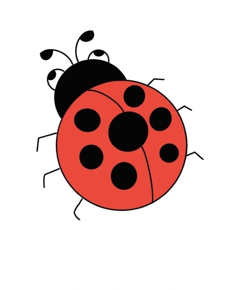 How to draw lady bird