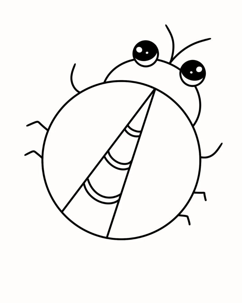 How to draw lady bird easy 5