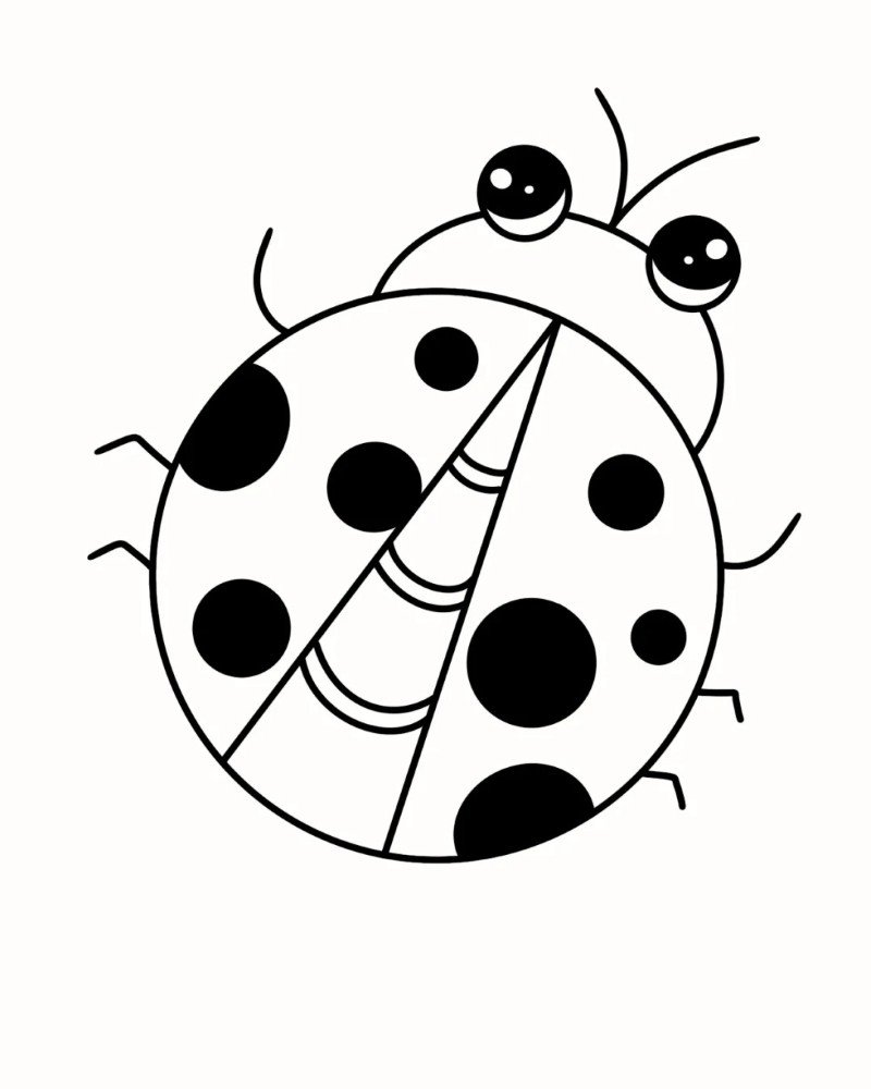 How to draw lady bird easy 6