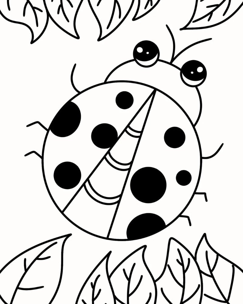 How to draw lady bird easy 7