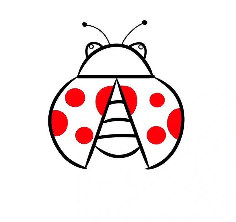 How to draw ladybird for kids 6
