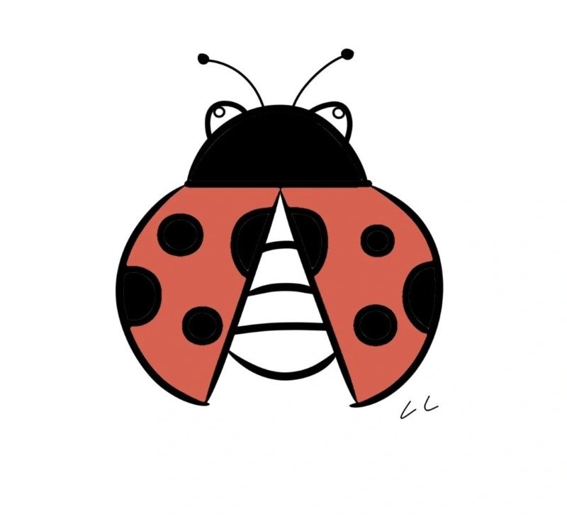 How to draw ladybird for kids