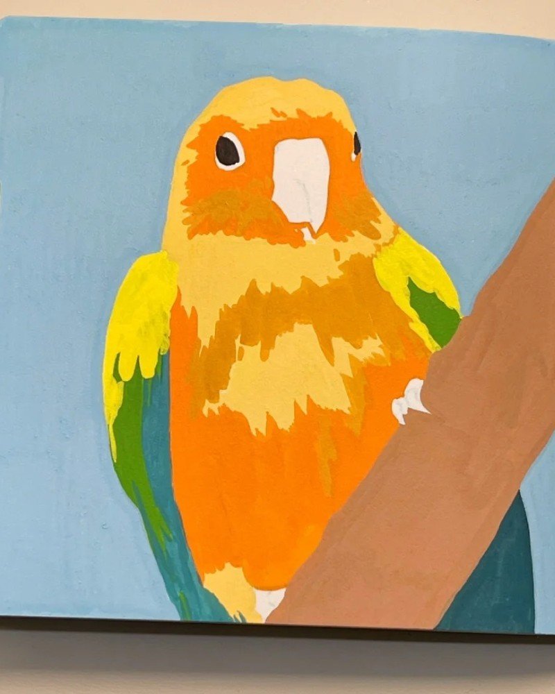 How to draw a bird Parrot cute 3