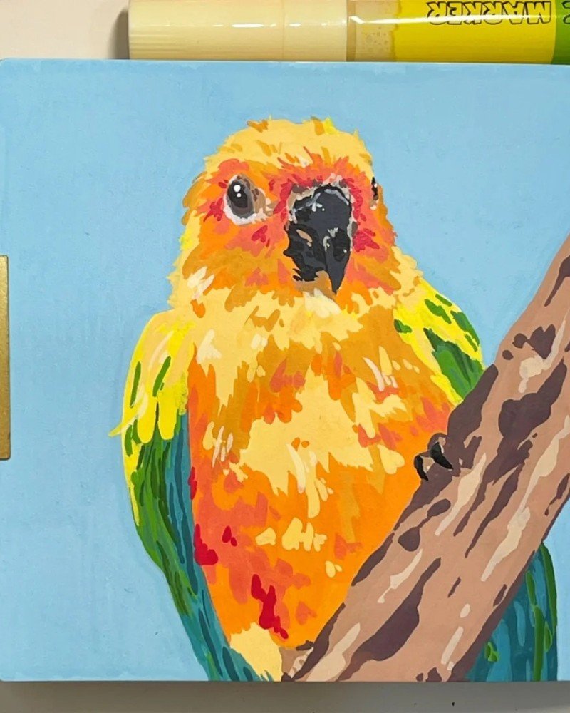 How to draw a bird Parrot cute