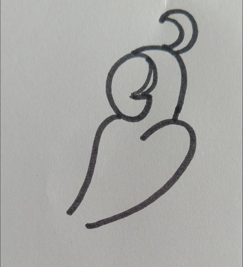 How to draw Parrot bird for kids 4