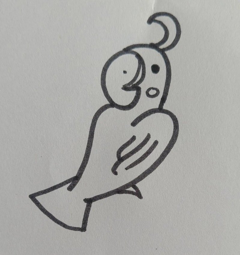 How to draw Parrot bird for kids 5