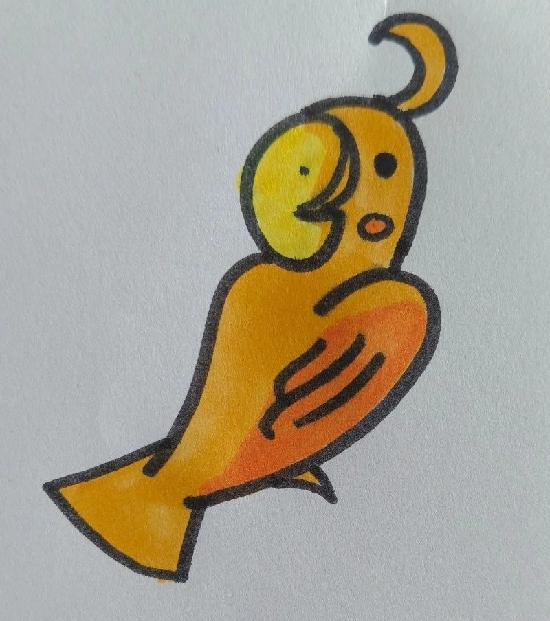 How to draw Parrot bird for kids