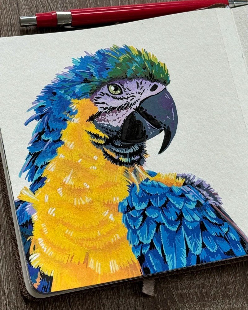 How to draw a bird Parrot