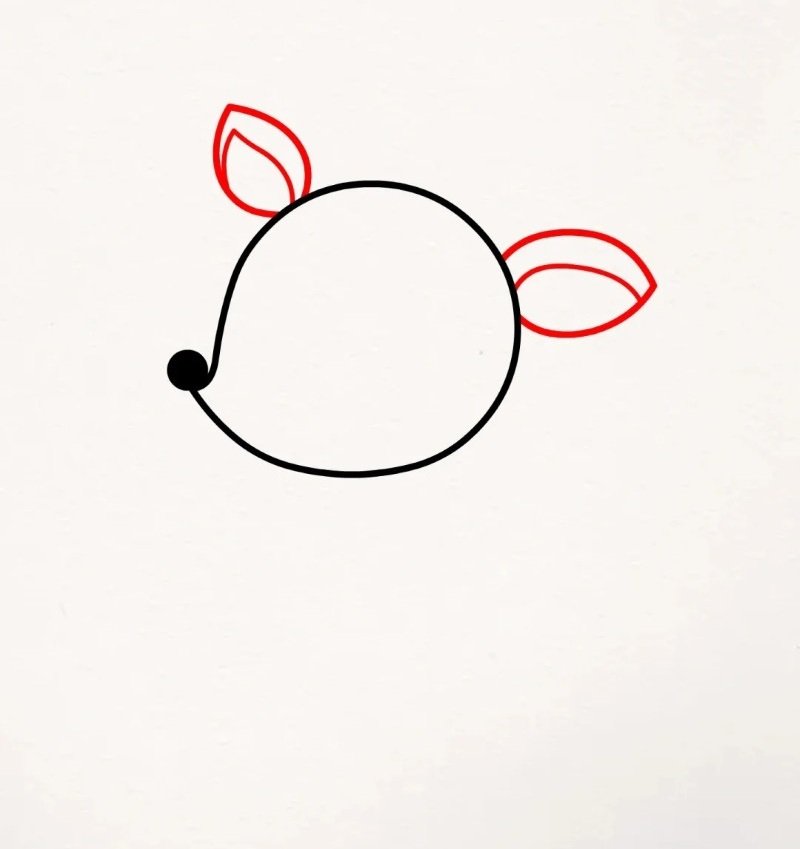 How to draw the Deer beautiful 2