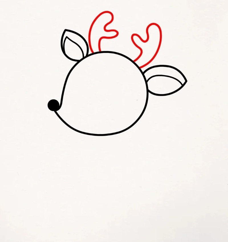 How to draw the Deer beautiful 3