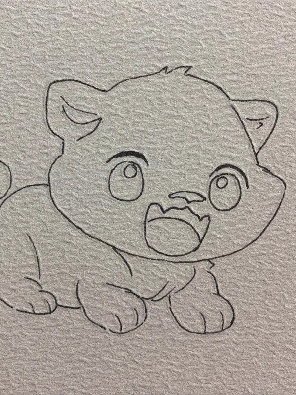 How to draw the tiger 4