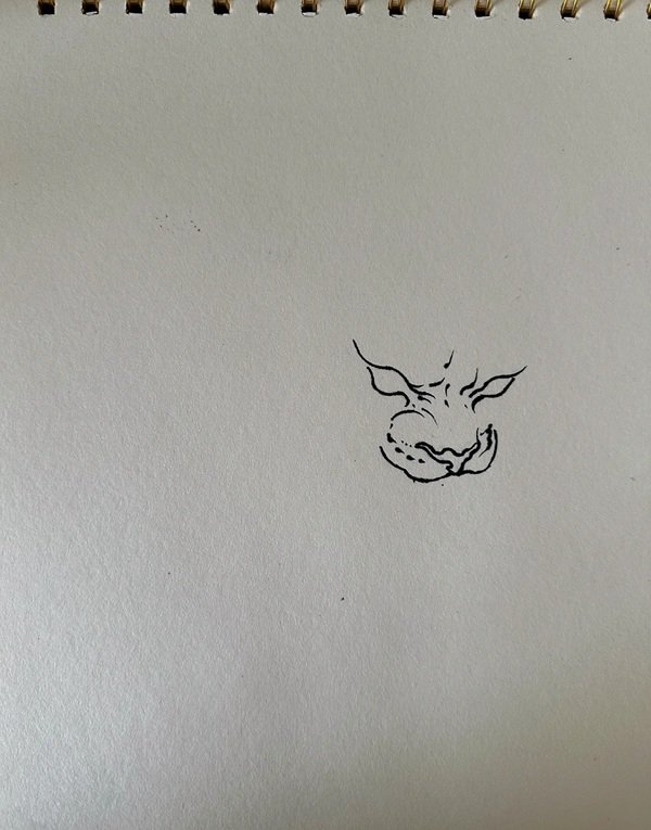 How to draw the tiger step by step 2