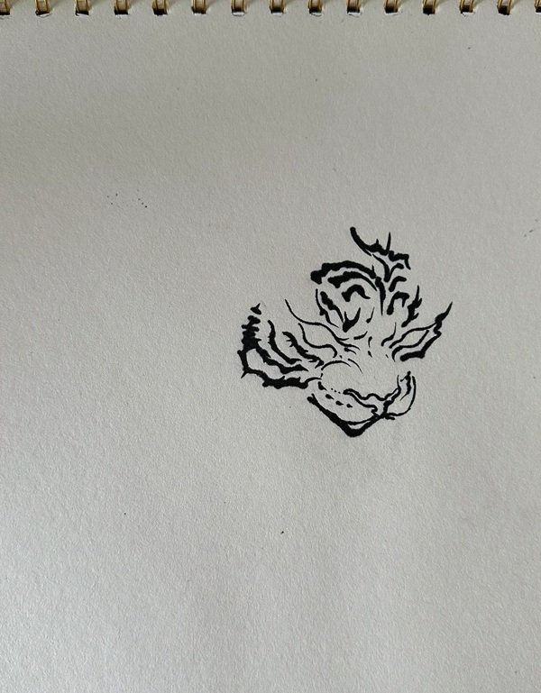 How to draw the tiger step by step 3