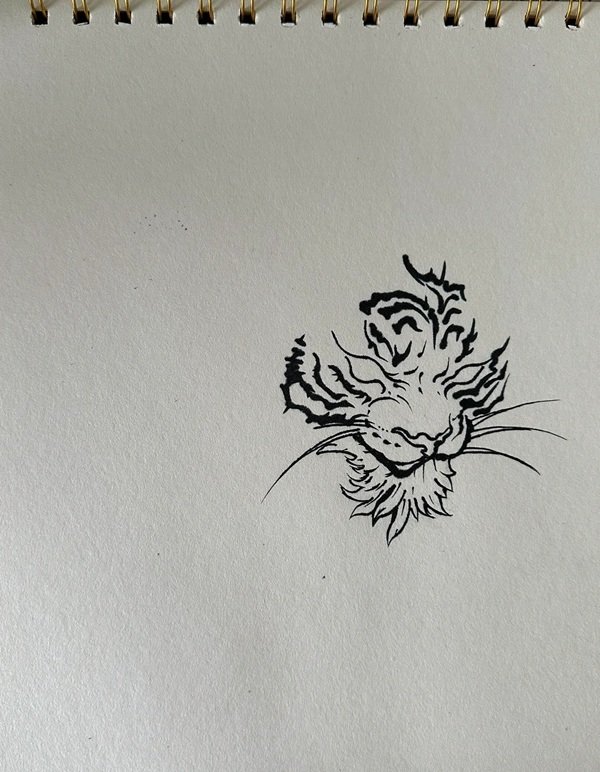 How to draw the tiger step by step 4