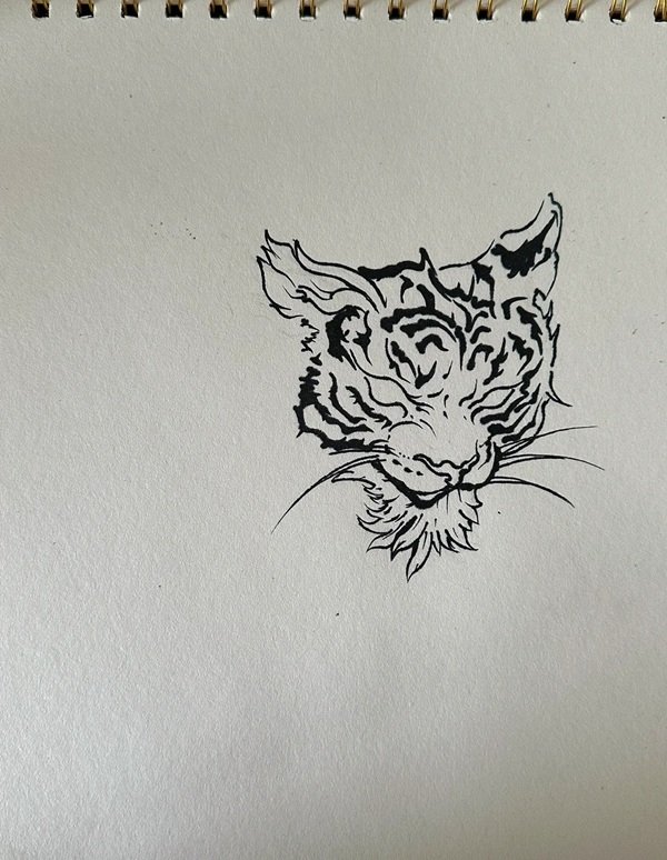 How to draw the tiger step by step 5