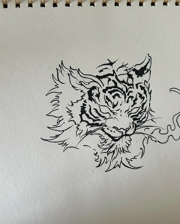 How to draw the tiger step by step 6