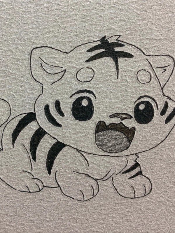 How to draw the tiger