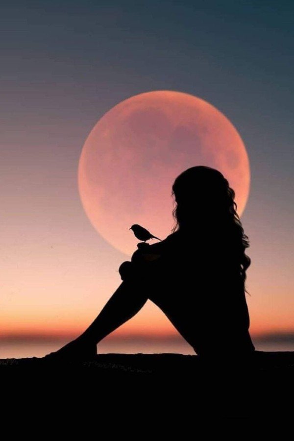 alone sad girl dp for facebook 28