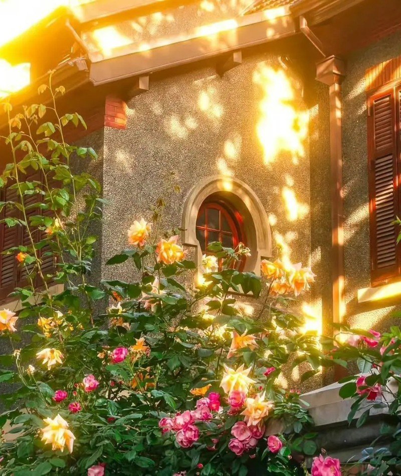 attractive dp for instagram