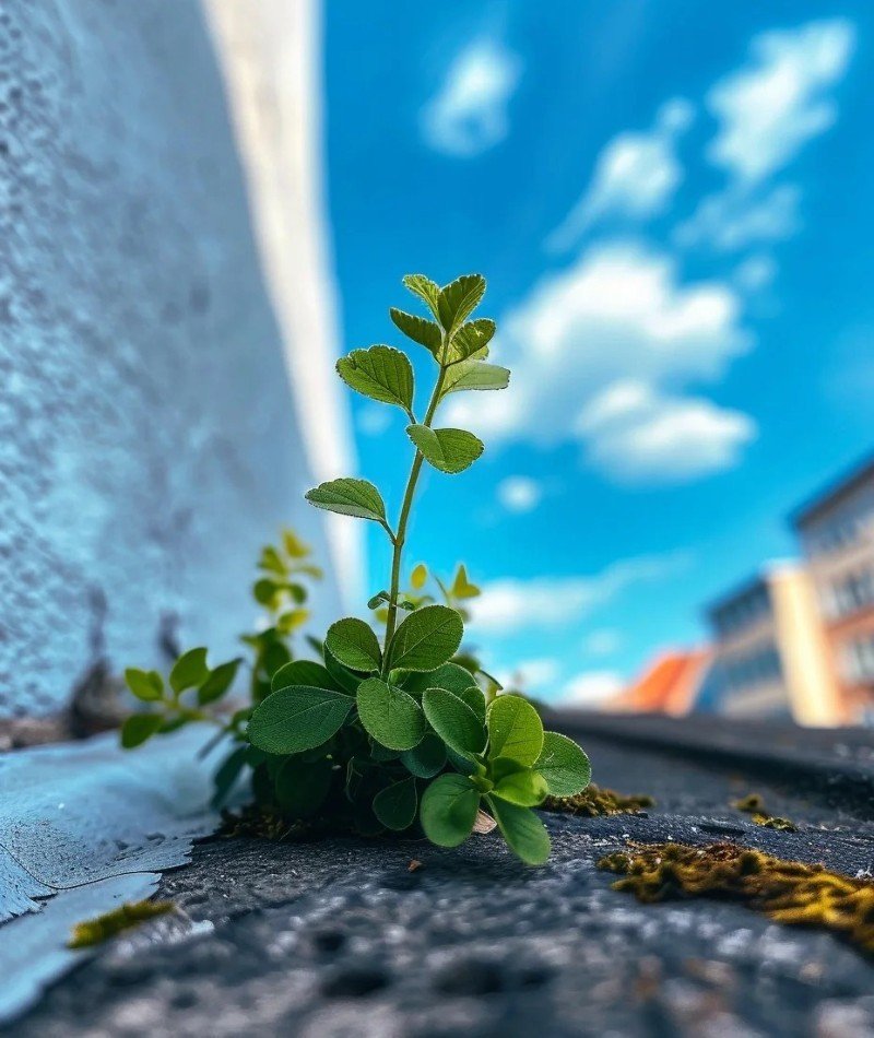 attractive dp images