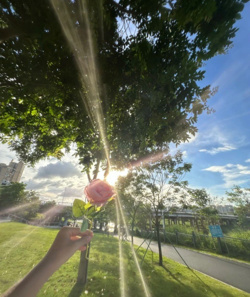 attractive whatsapp dp 13