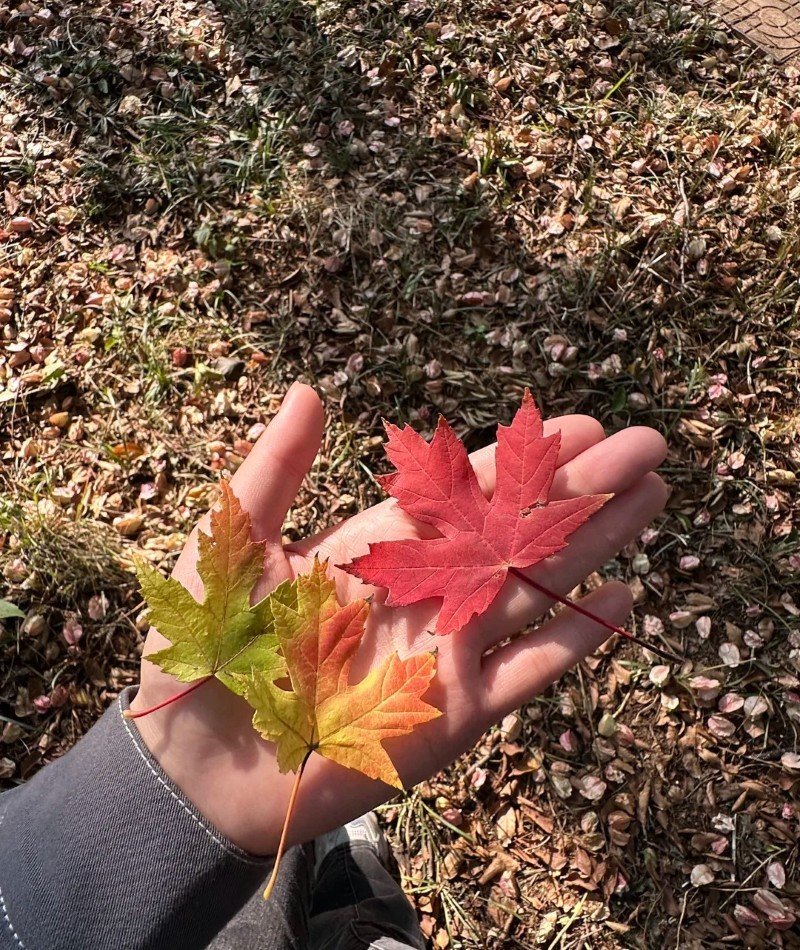 attractive whatsapp dp 15