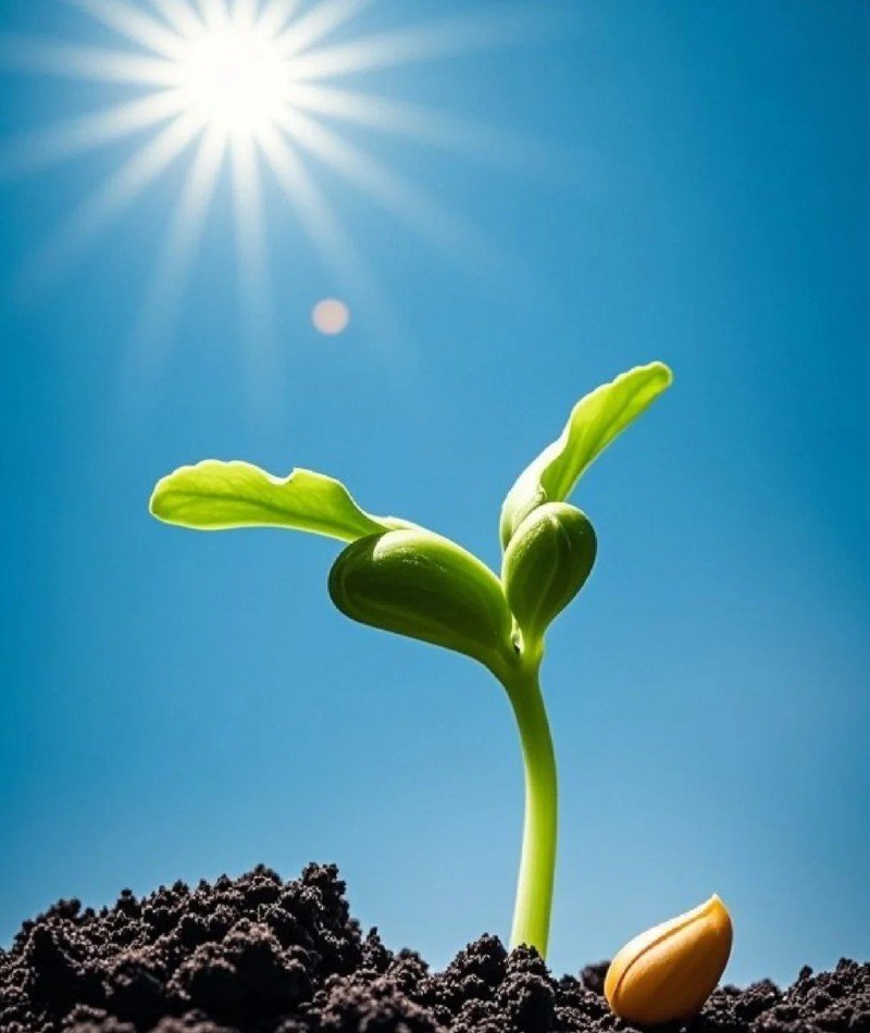 attractive whatsapp dp 19