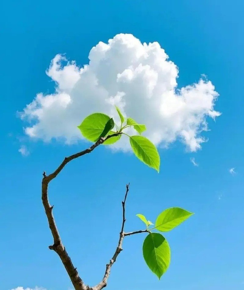 attractive whatsapp dp 2