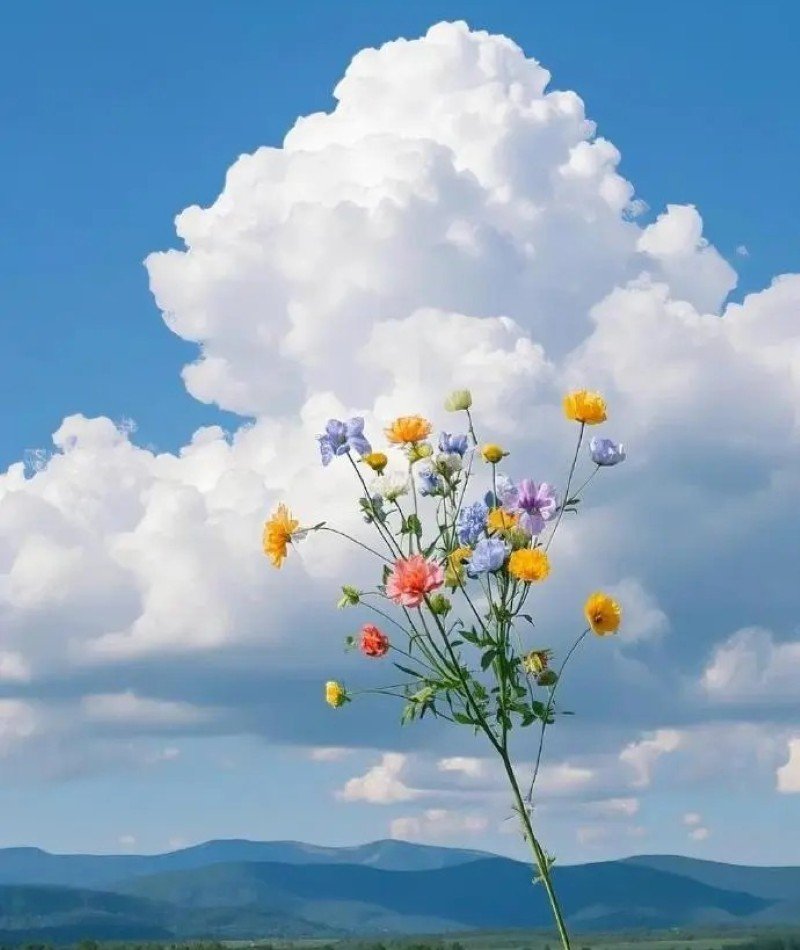 attractive whatsapp dp 5