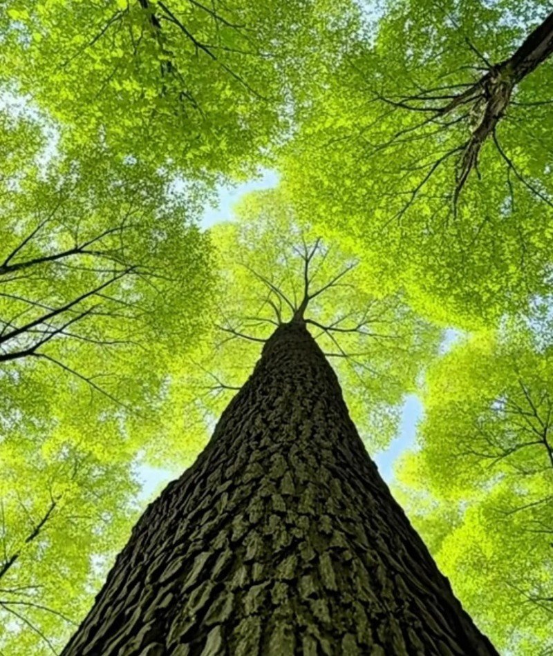 attractive whatsapp dp 6 